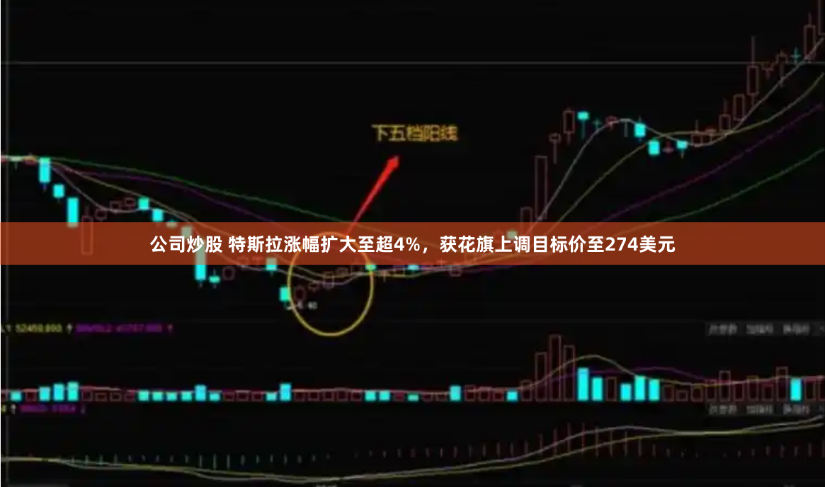 公司炒股 特斯拉涨幅扩大至超4%，获花旗上调目标价至274美元